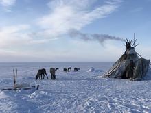 Nenets
